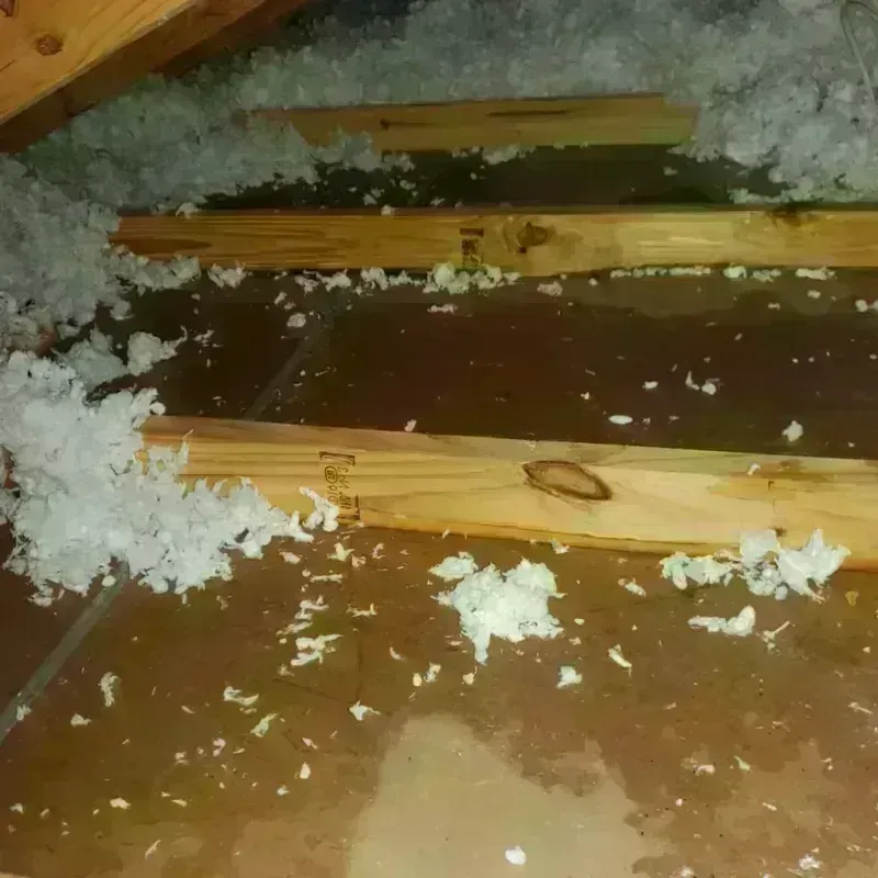 Attic Water Damage in Astoria, NY